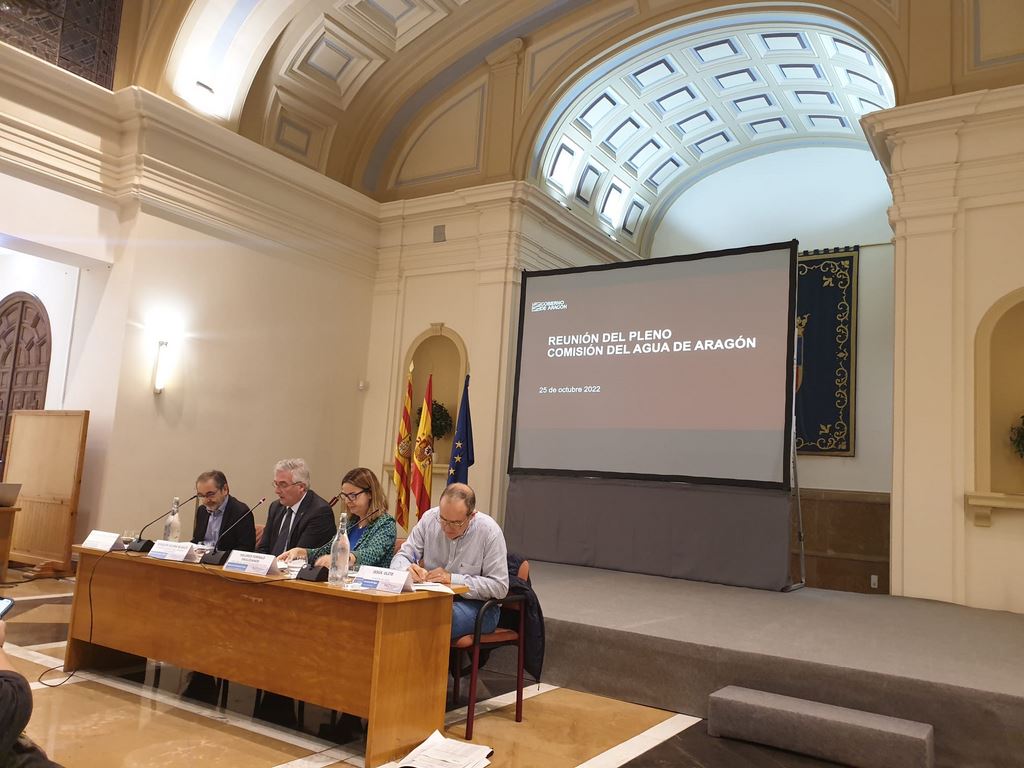 Pleno Comisión del Agua de Aragón